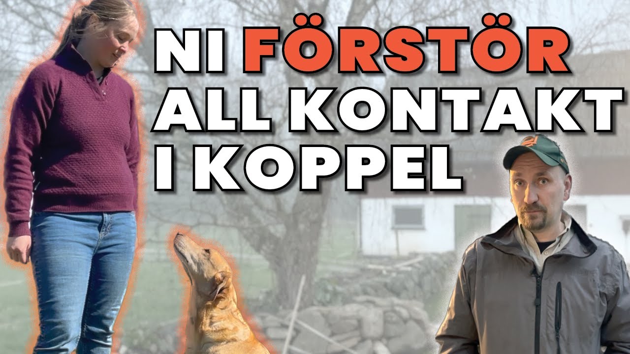 Få bättre KONTAKT med din hund
