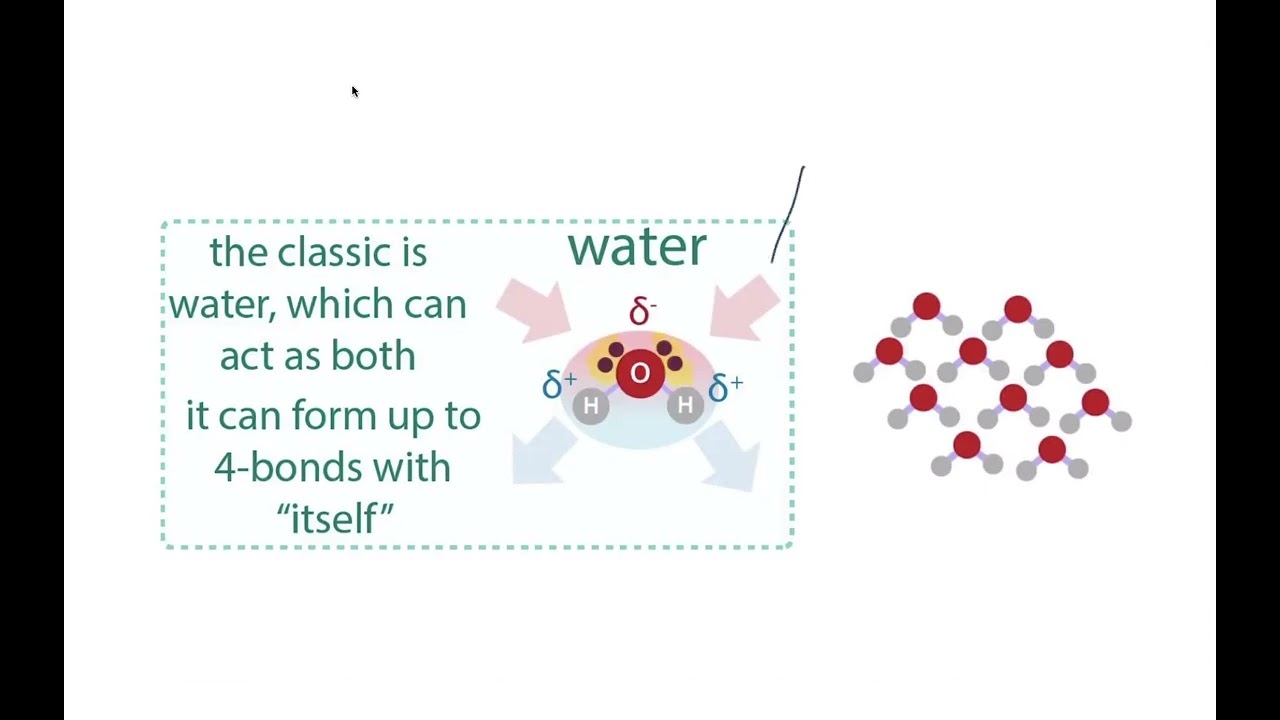 What's up with water? Hydrogen bonds (H-bonds), other intermolecular forces & the hydrophobic effect