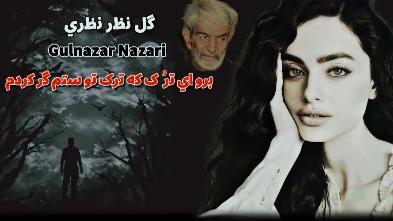 برو ای تُرک که ترک تو ستمگر کردم | گل نظر نظری شعری از مرحوم شهریار  | Gulnazar Nazari