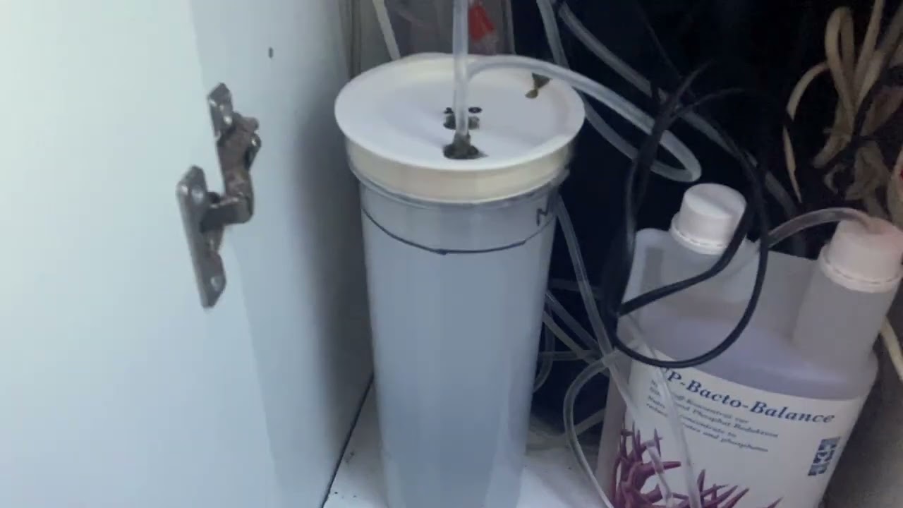 REACTOR CASERO DE KALKWASSER - SUBIENDO EL PH DE NOCHE