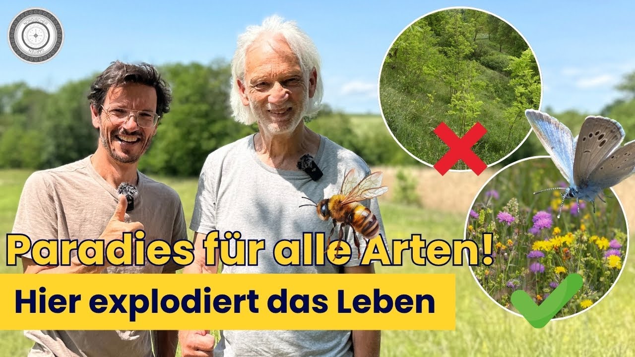 Hier explodiert das Leben! Und was hat die Ziege damit zu tun?