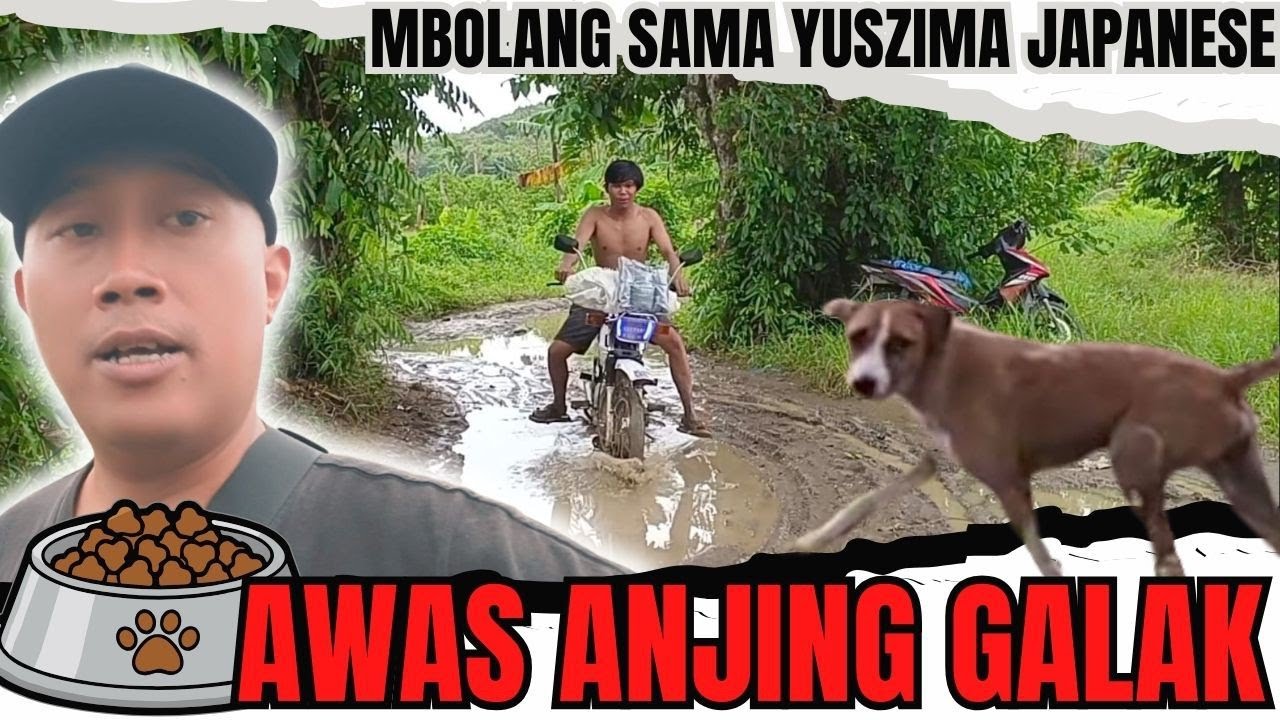 BOLANG SERUT DAPAT ANJING