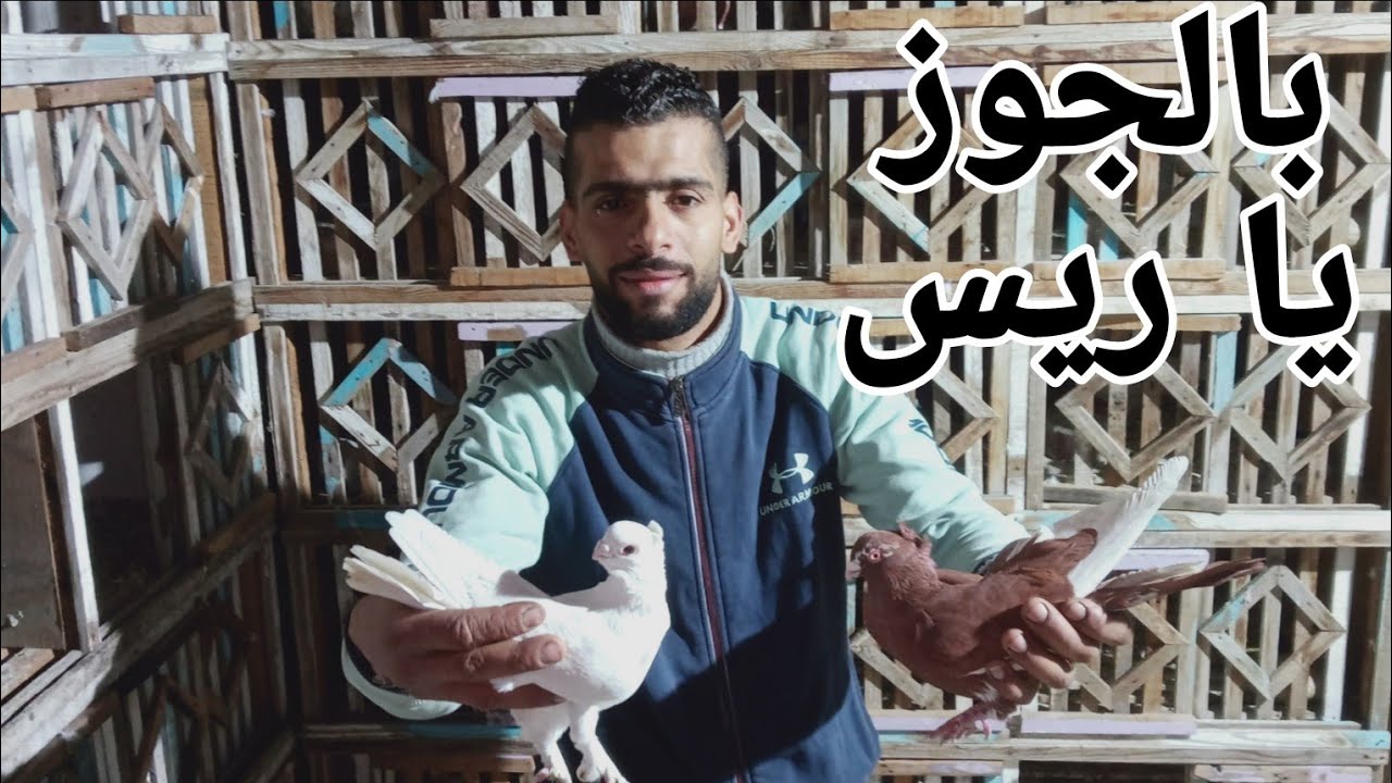 مسكت اتنين دكر مرقع طرطور ودكر بنيدى كامل فى رمي التماسي احلى متعه