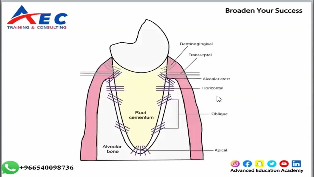 #periodontics and #implantology Licensure Examination #scfhs #برومترك_السعوديه #برومترك_دبي #sdle