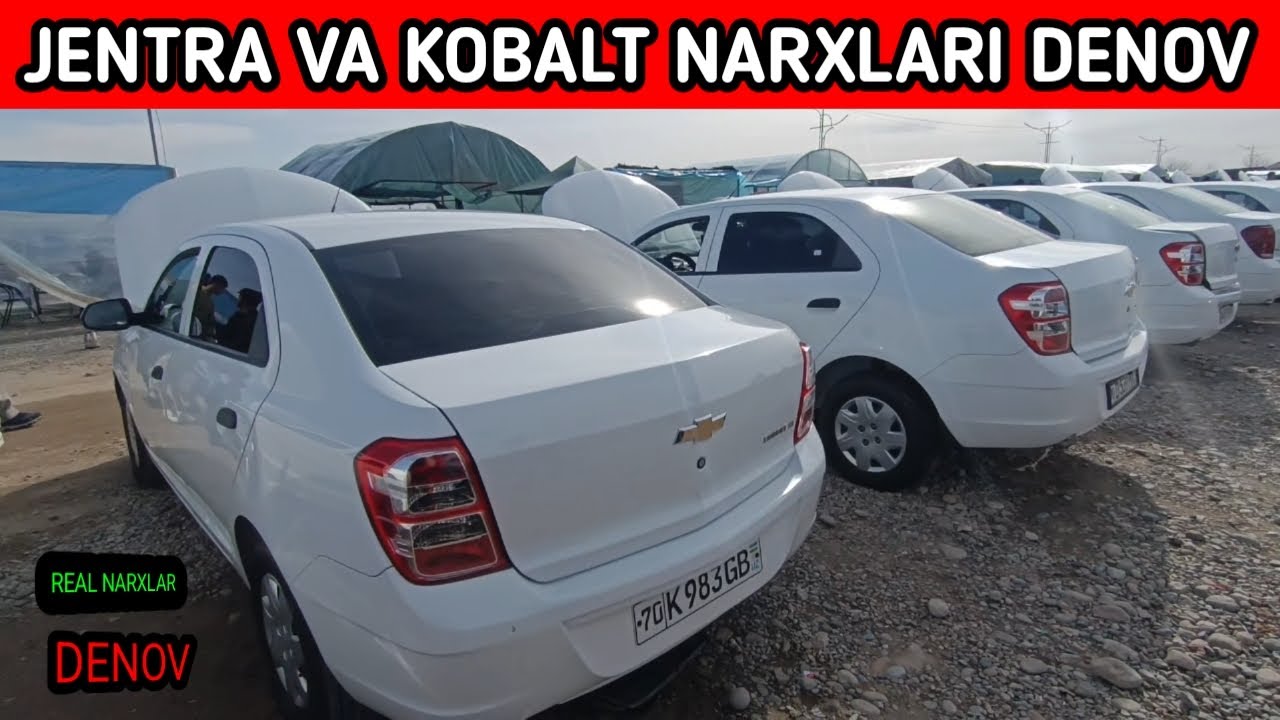 12 .FEVRAL JENTRA VA KOBALT NARXLARI DENOV MOSHINA BOZORI 2026.YIL