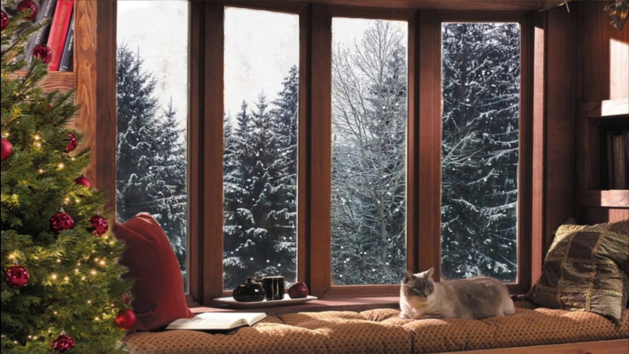 Christmas Day Reading by the Window AMSR Ambience