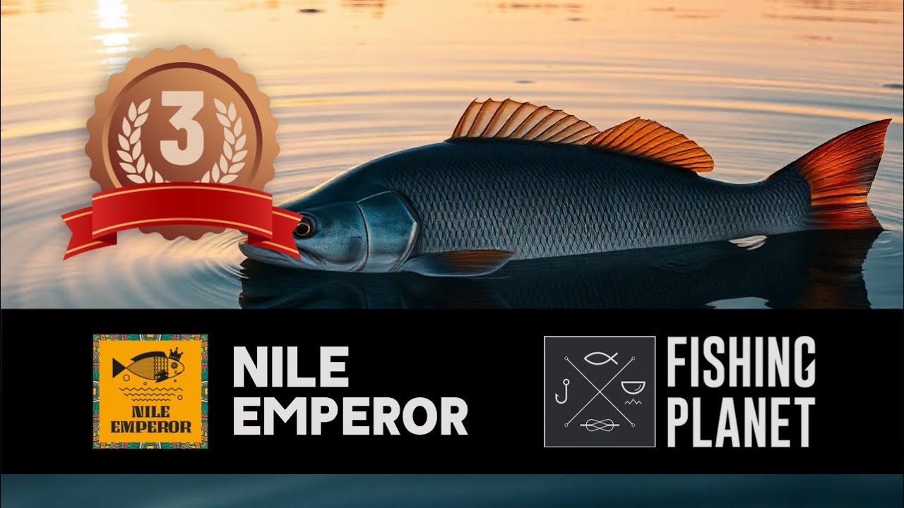 FISHING PLANET COMPETITION - Nile Emperor Competition UNCUT 3rd Place ft WHERE TF IS MY SMALL ONE?