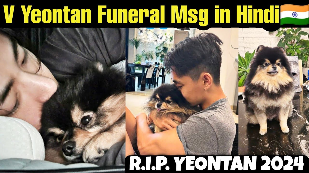 BTS V Funeral Msg for Yeontan in Hindi 🇮🇳 Taehyung Latest Message on Yeontan Funeral #bts #yeontan