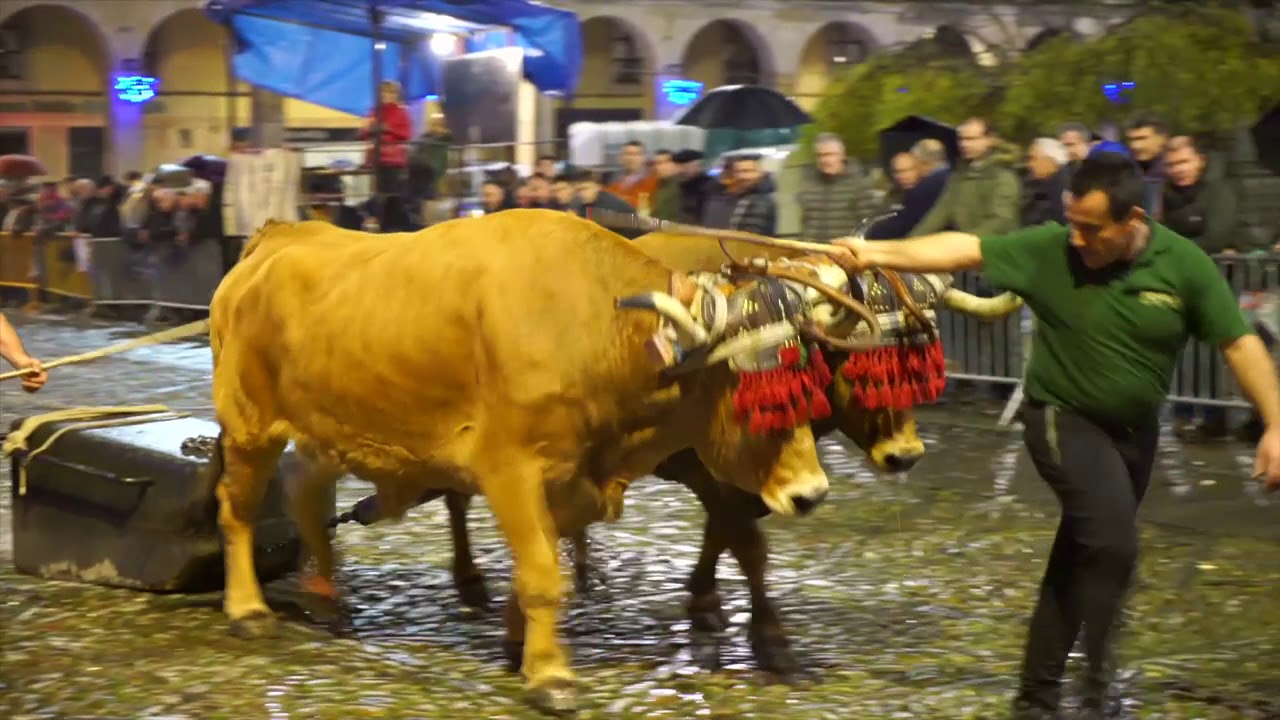 SANTA LUTZIKO IDI PROBAK