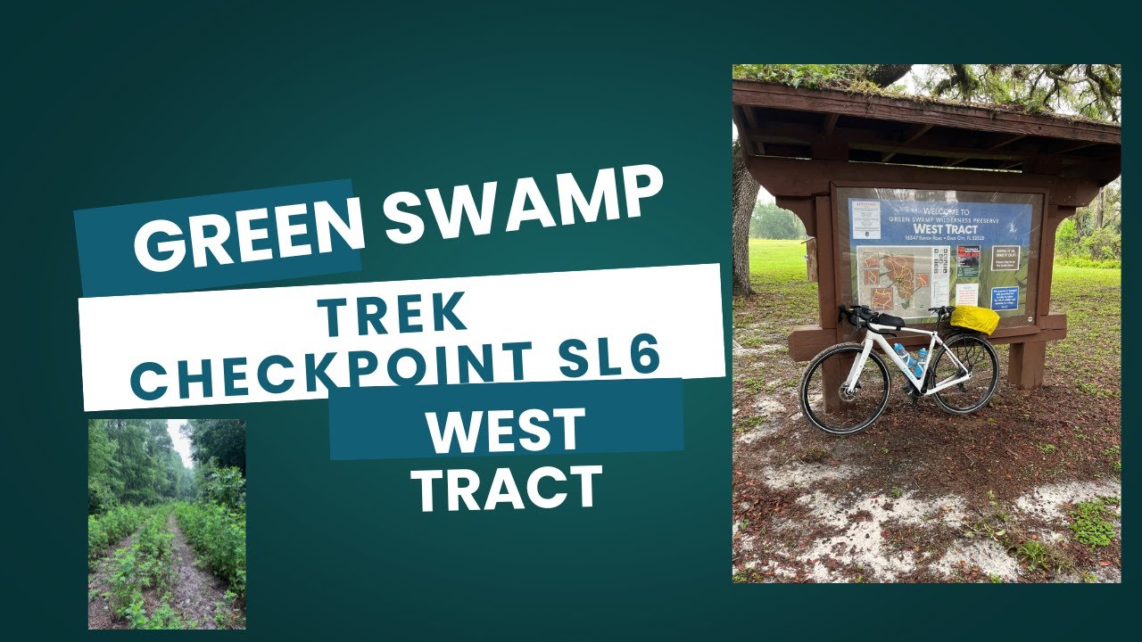 Green Swamp West Tract - Gravel Ride on the Trek Checkpoint SL6 Gen 3