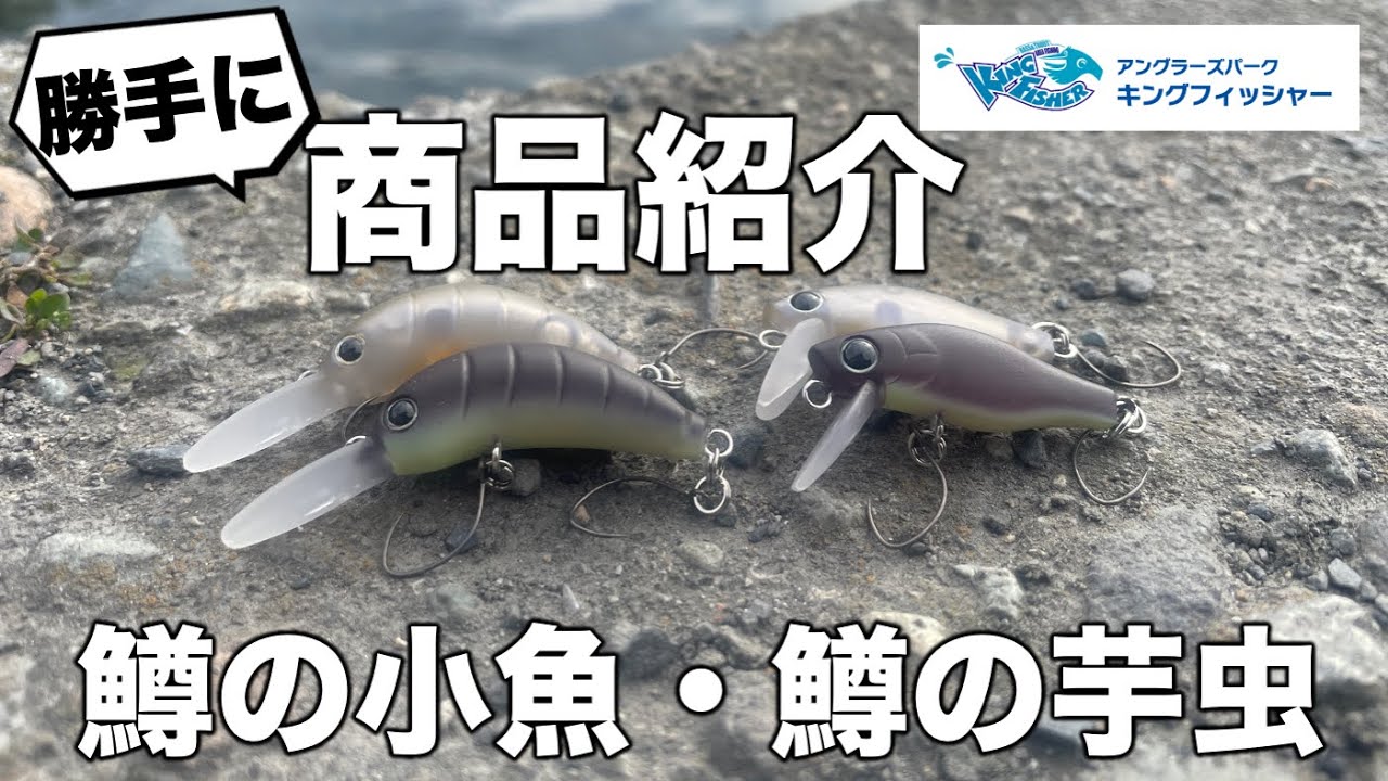 【勝手に商品紹介シリーズ！】ダイワ：鱒の小魚・鱒の芋虫のご紹介！inキングフィッシャー