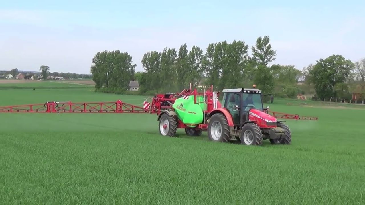 Wiosna 2016 z firmą 