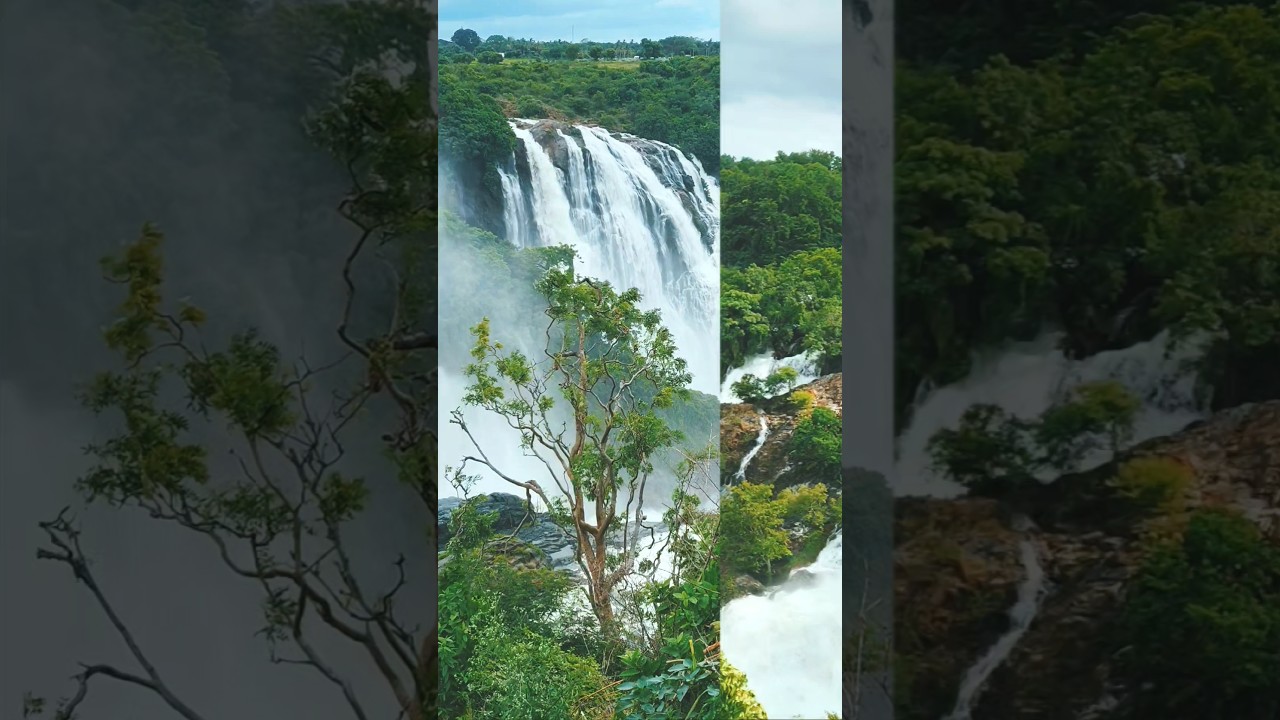 barachukki 🆚 gaganachukki falls#shorts