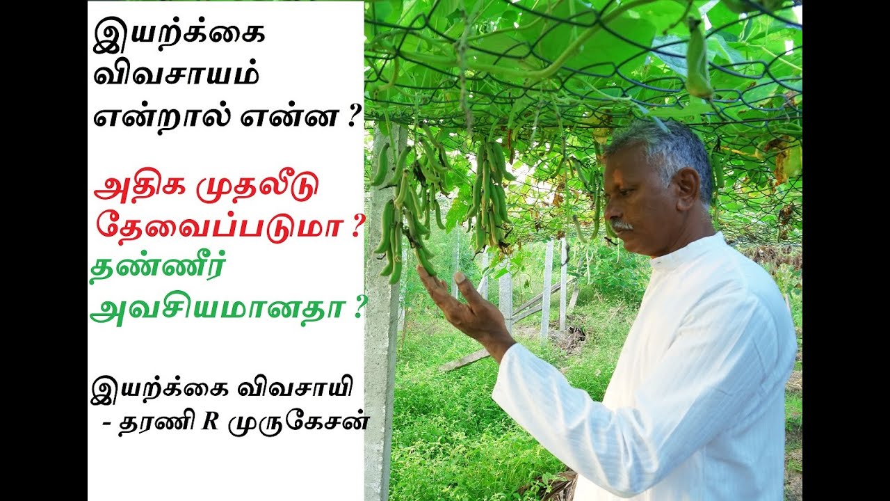 இயற்கை விவசாயம் பற்றிய உண்மைகள்