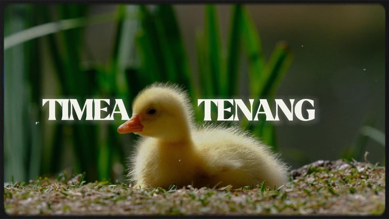 TImea - tEnanG
