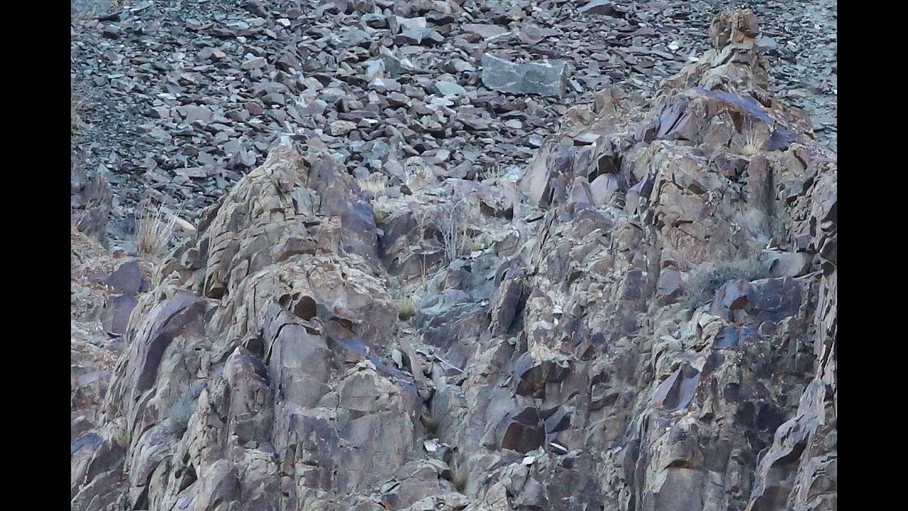 Blazingglass Live Glass Blowing Stream