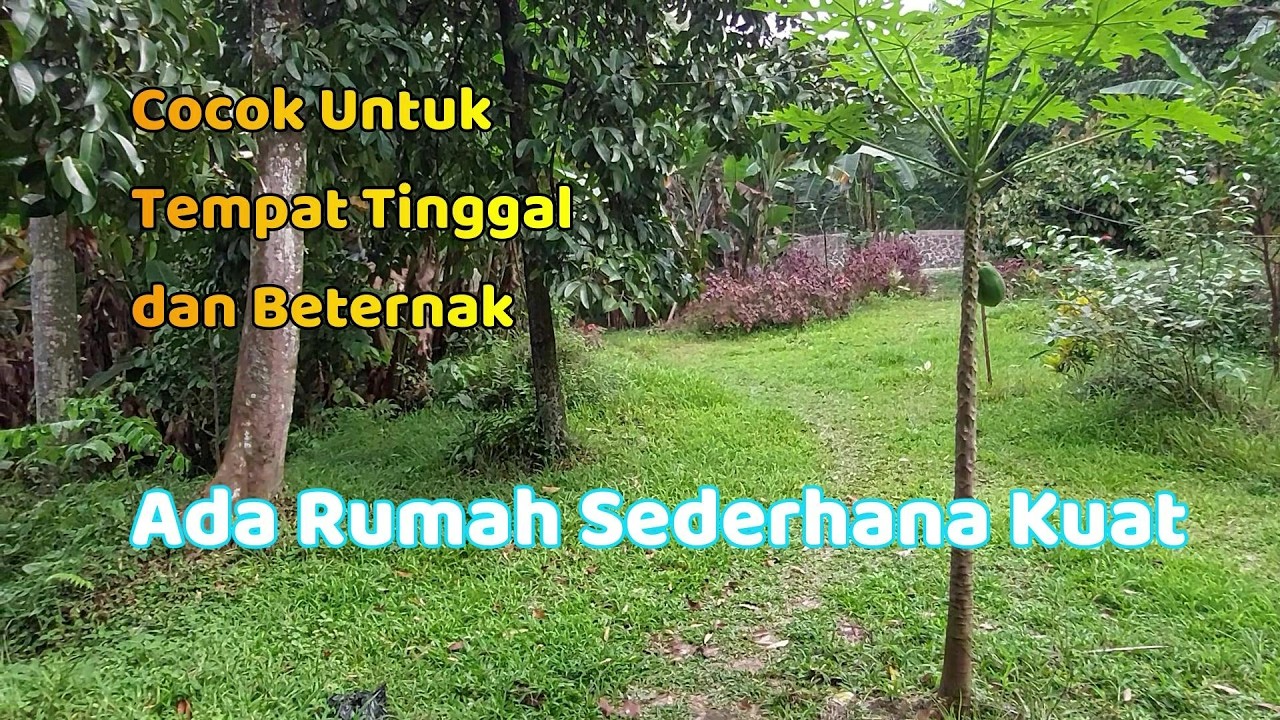 Akses Mobil - Luas Tanah 1.600 Meter² - SHM - 450 Juta
