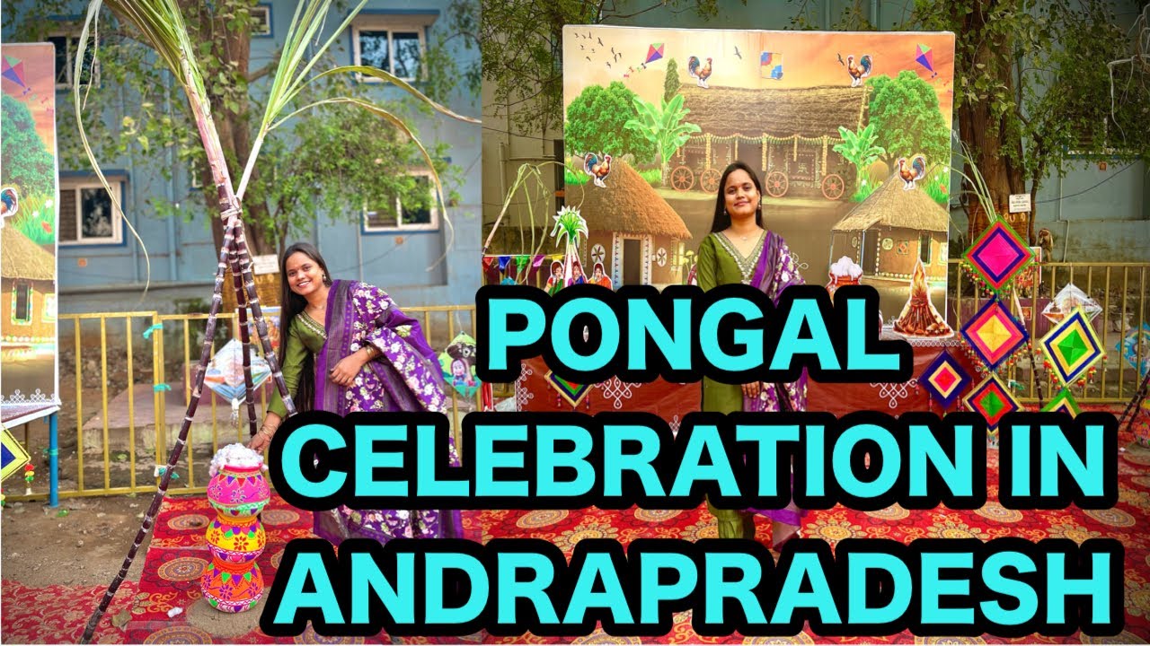 Pongal Celebration In ANDRAPRADESH || 