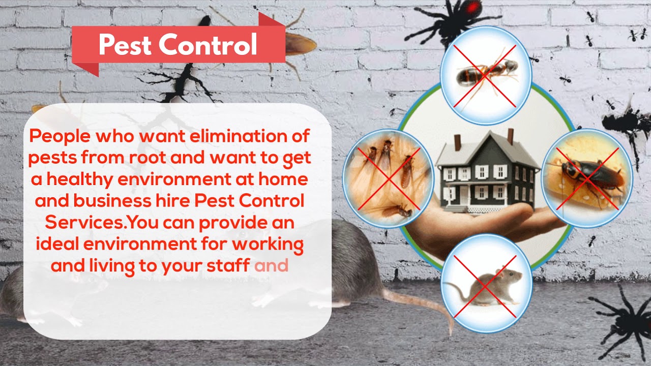 Buy Pest Control products online