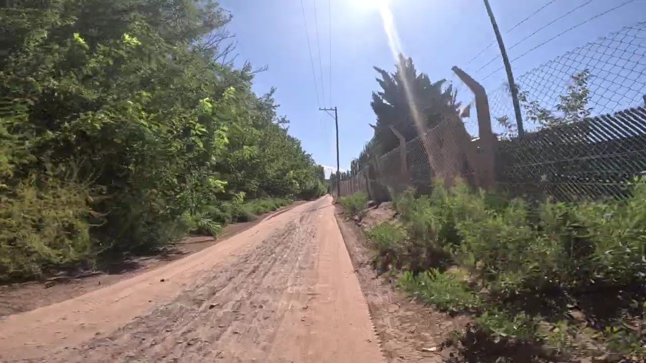 11 Rural Bike 14/2/2026 (3/4)
