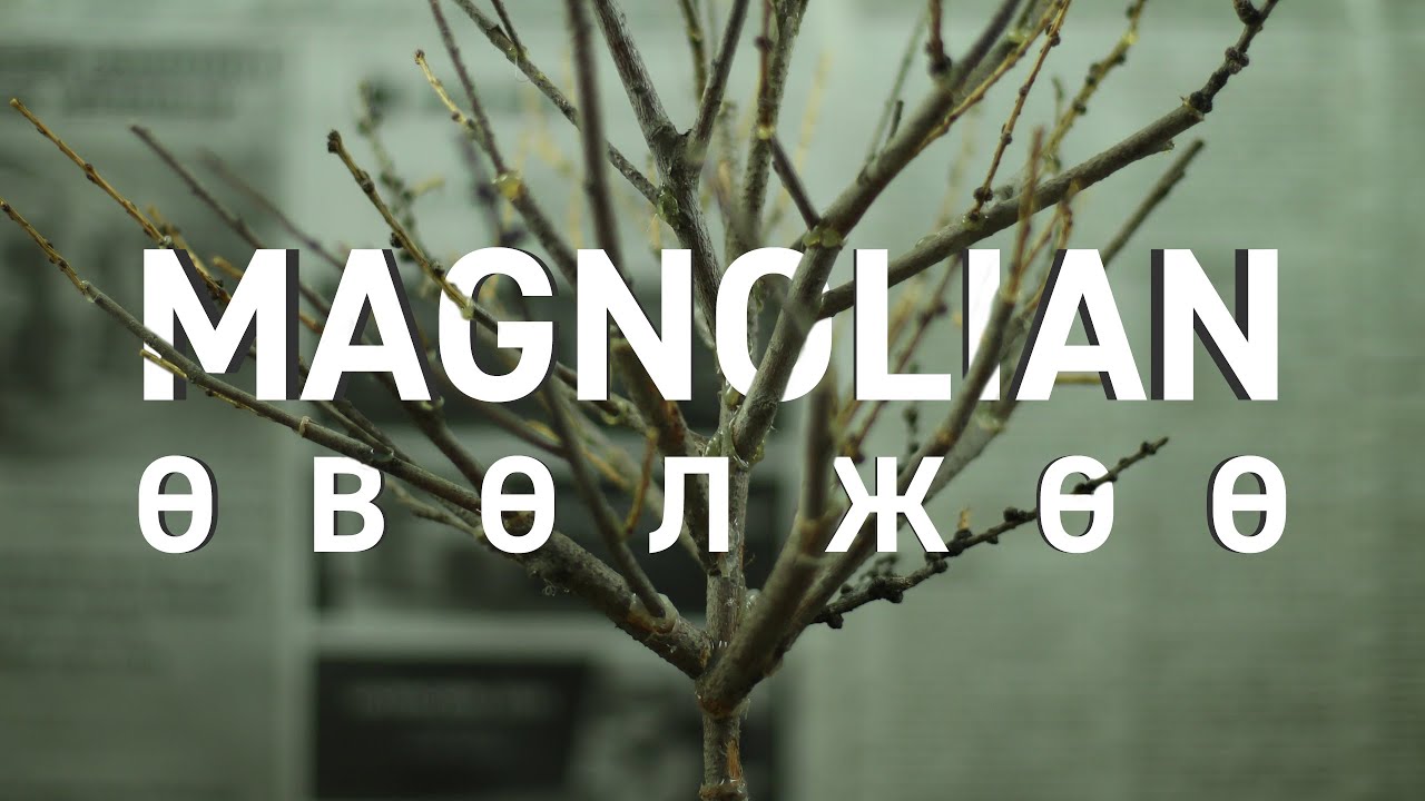 Magnolian - Өвөлжөө (Official Video)