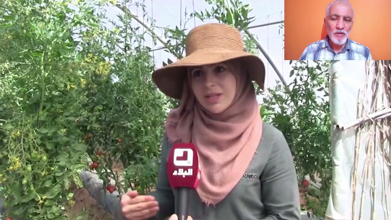 شاهدوا: مهندستان جزائريتان تقتحمن عالم الفلاحة البيولوجية بكل جدارة واستحقاق BIO FARMING