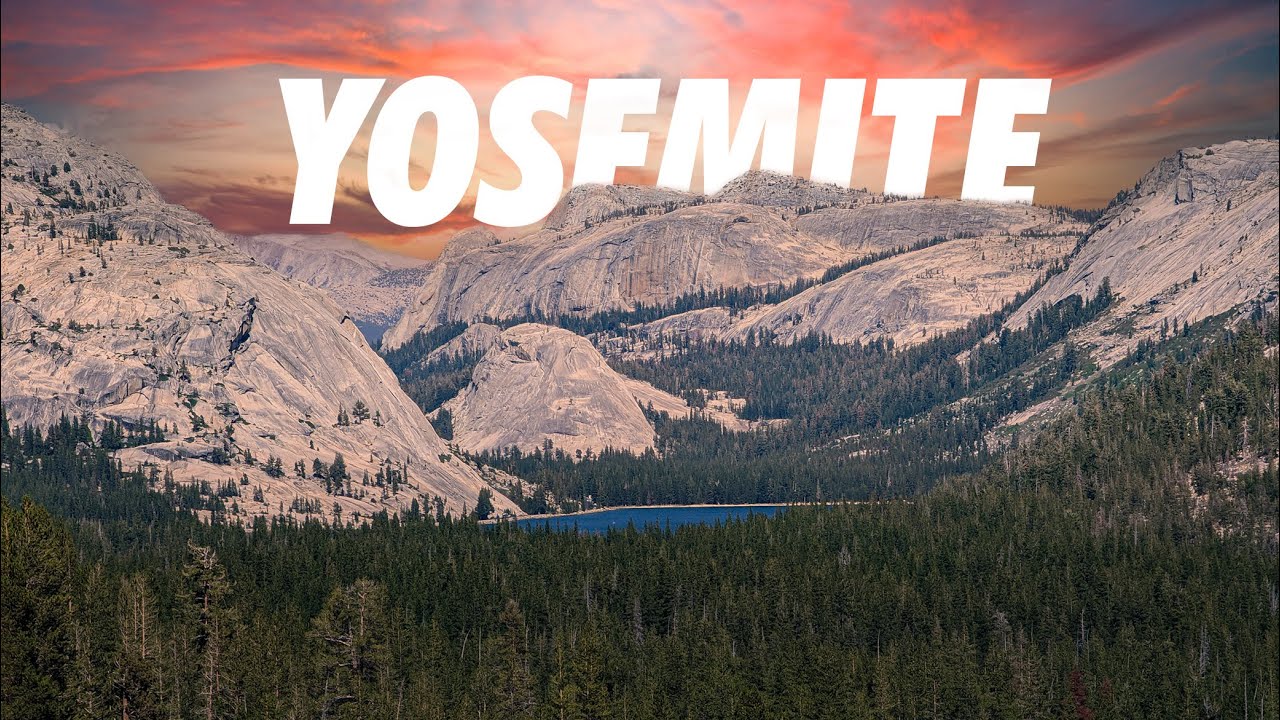 Fly fishing for wild browns in Yosemite