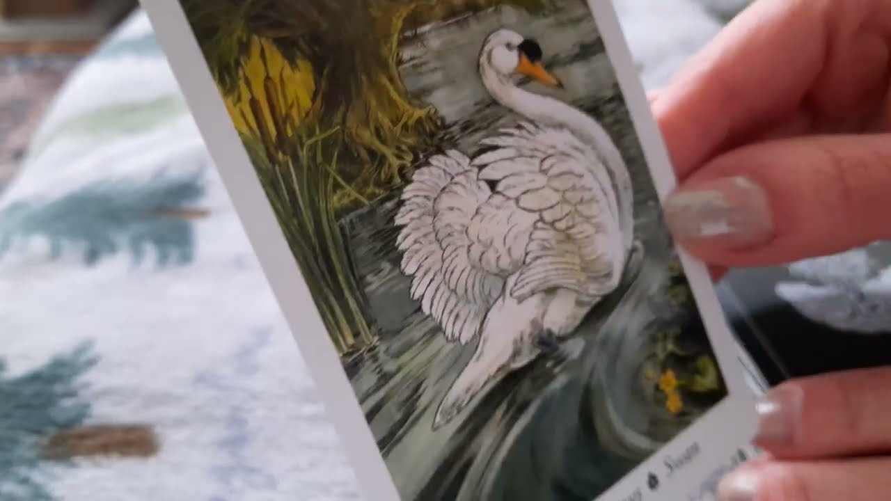 Tarot Guidance: Move in Your Own Grace & Choose Your Love Shot Wisely #LoveReading