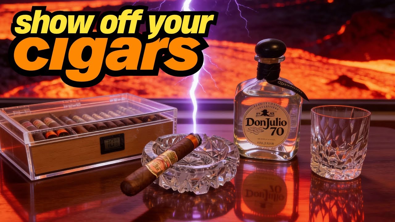 Best Looking Humidor - Case Elegance Felix Pro Cigar Tupperdor 