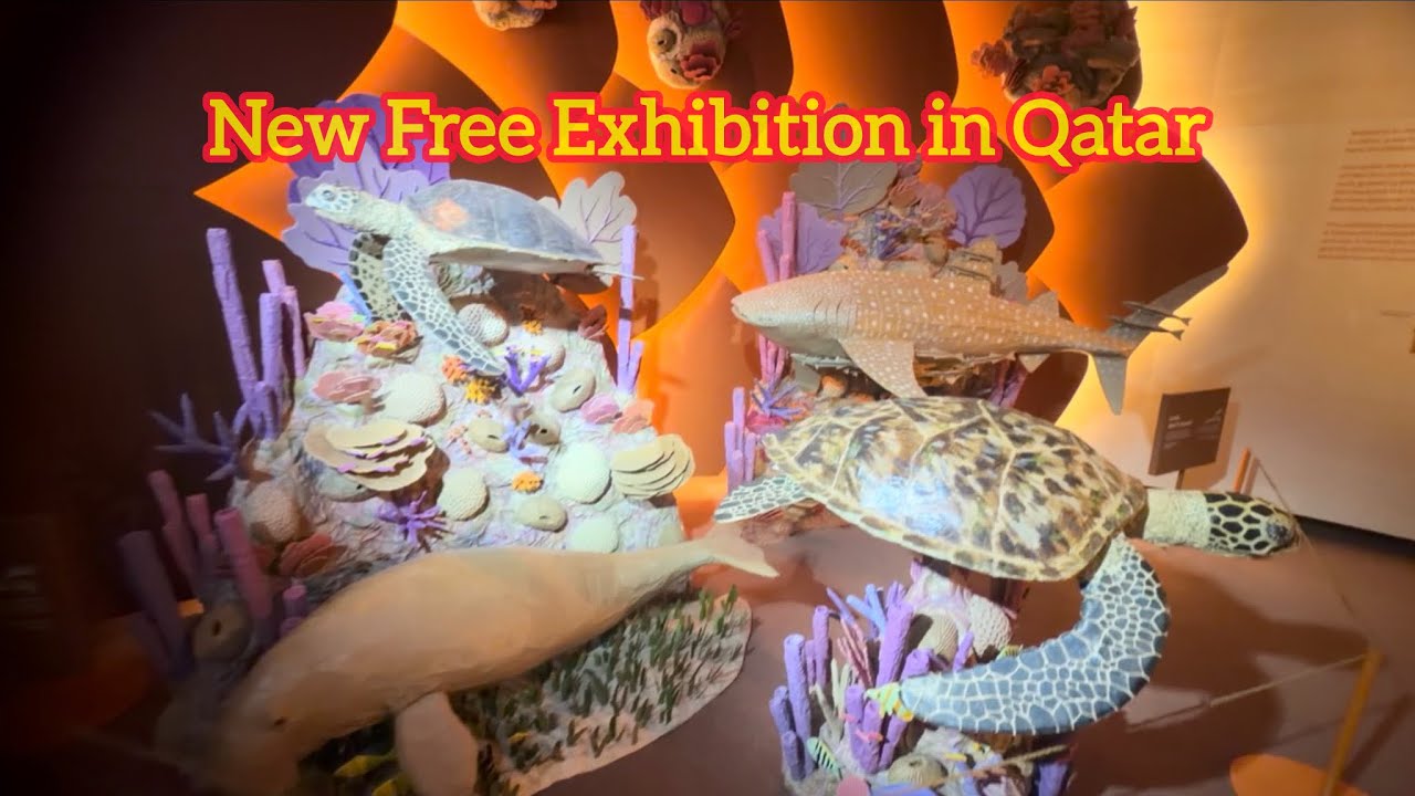 Lehmesa: Return by Moonlight – Sea Turtles, Survival & New Life | National Museum Qatar |