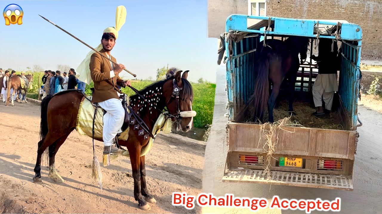 APNY HORSE🐴 KO BHRY CHALLENGE NEZA BAZI KY LEAY LY GY 😍