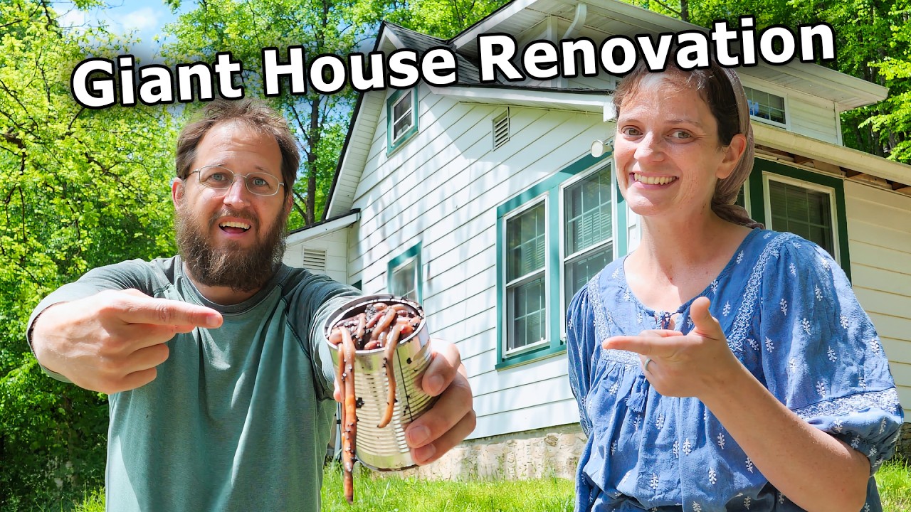 Our MASSIVE House Renovation is a HUGE Can of WORMS!
