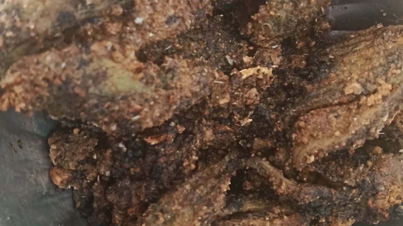 కాకరకాయ స్పెషల్ వేపుడు 🤤😋🤤#food #foodie #specialfoods #villagespecial #villagefood