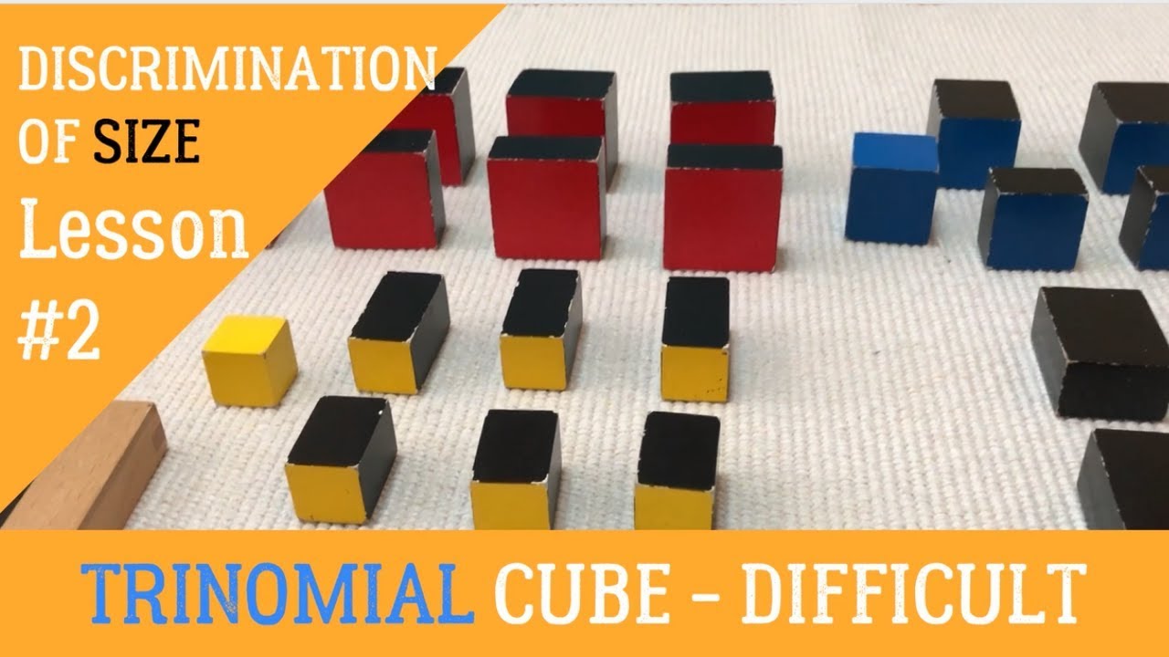 [VMI] SENSORIAL - Trinomial Cube Difficult - Discrimination of Size