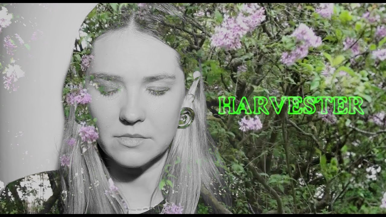 Karolina Czarnecka – Harvester (official video)