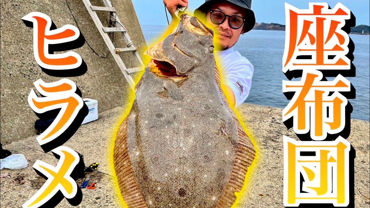 壱岐島平穏の海に突如現れた！特大MONSTER
