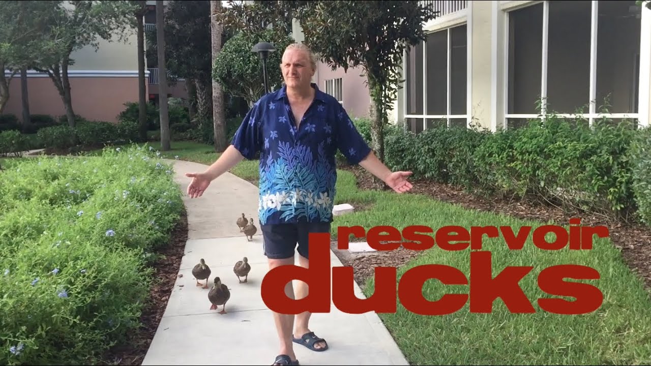 Reservoir Ducks