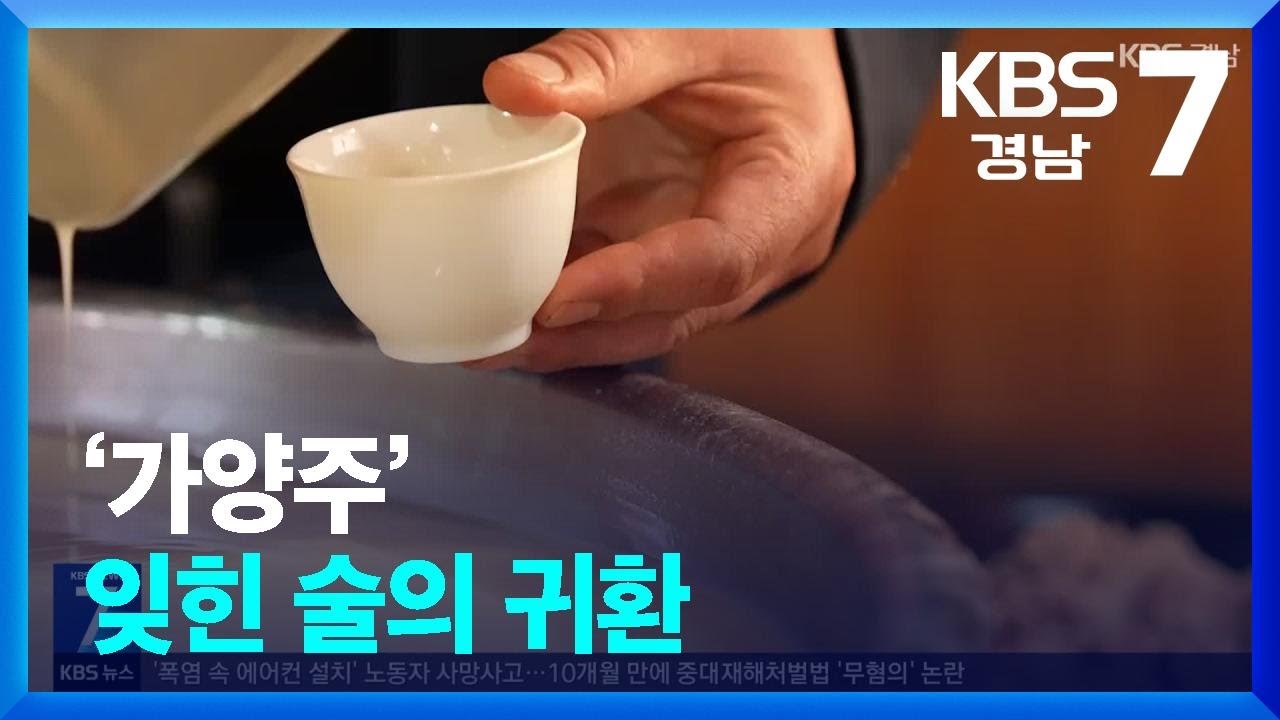 [현장속으로] &lsquo;가양주&rsquo; 잊힌 술의 귀환 / KBS  2025.07.01.