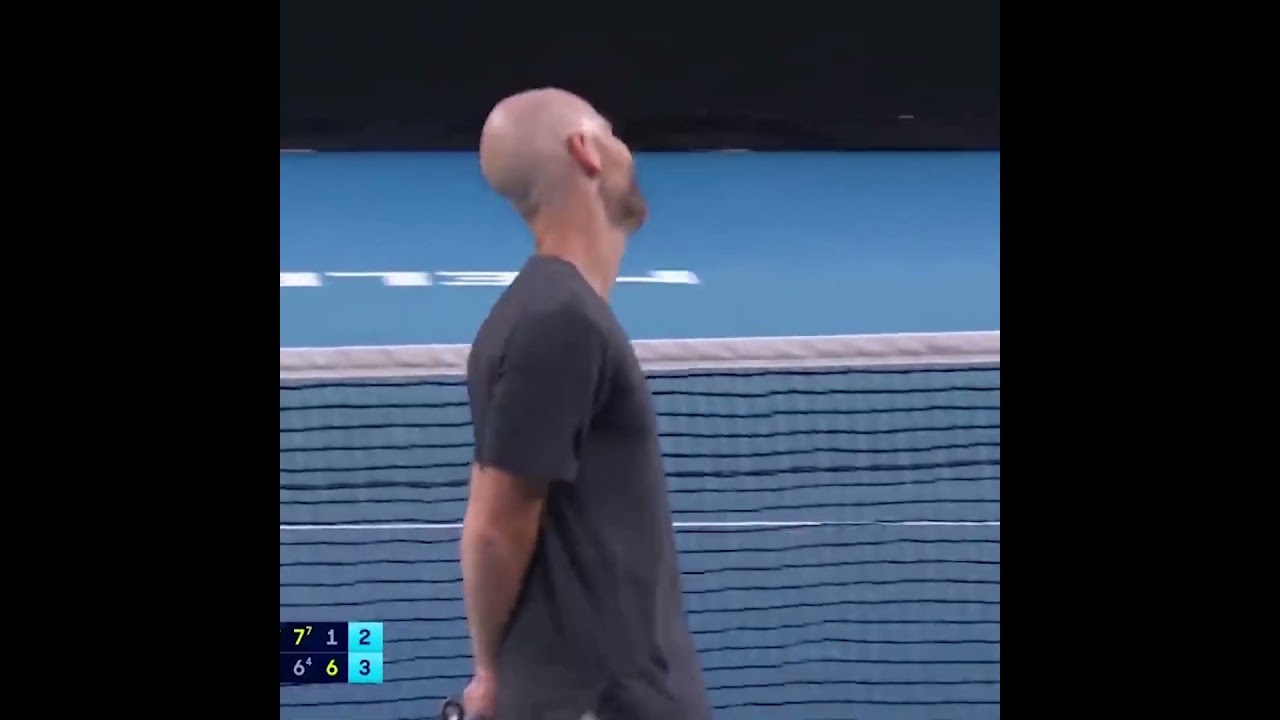 Adrian Mannarino awesome spin @australianopen