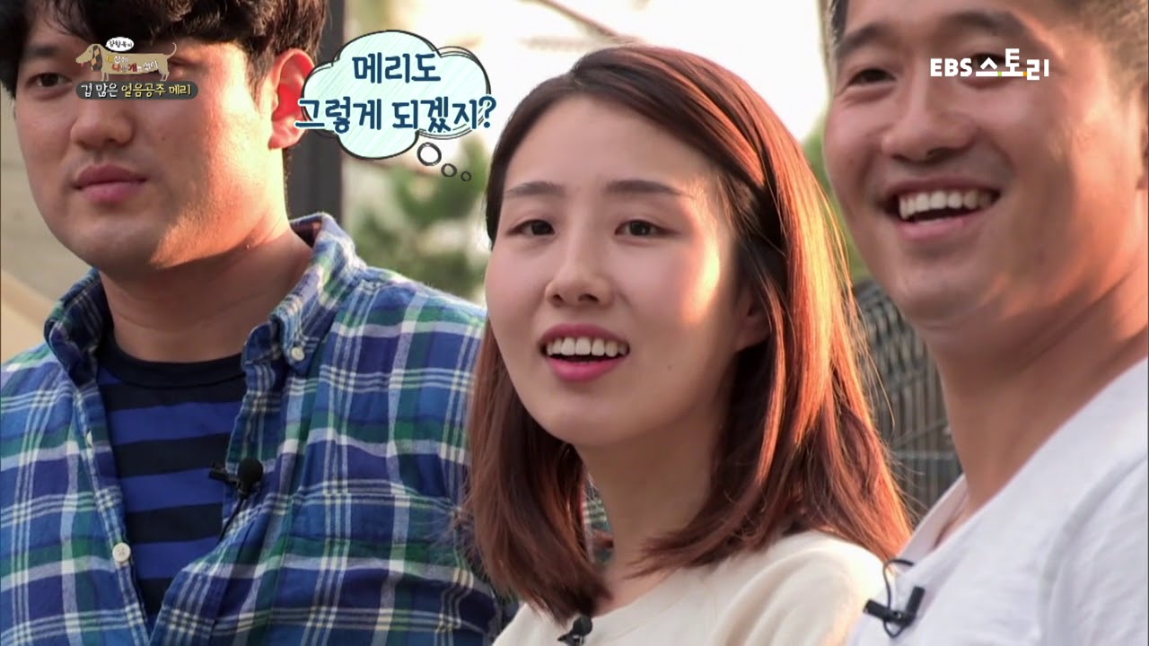 겁 많은 강아지 훈련법 [EBS1 강형욱의 세상에 나쁜 개는 없다]