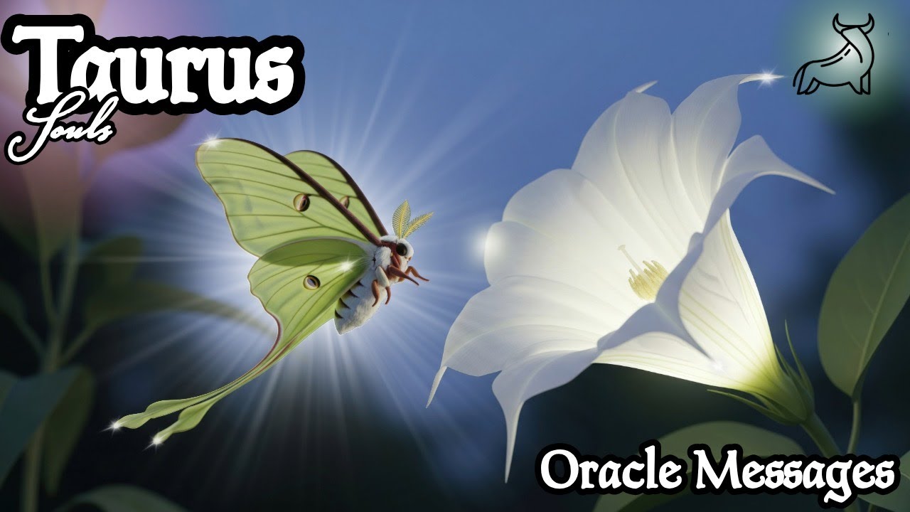 ♉Taurus |🔮Destiny Quietly Delivers Prosperity—Claim Hushed Miracles Without Noise | Timeless