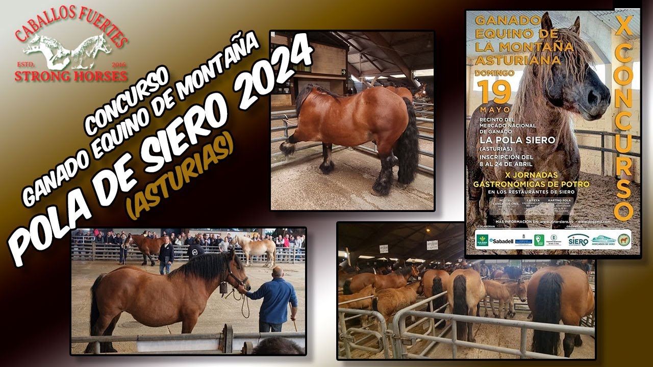 🏆🐎Concurso Pola de Siero 2024 🐎🏆