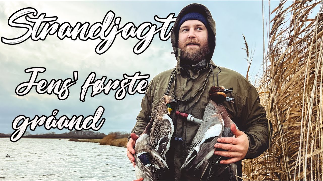 Jens'  første vilde Gråand - Strandjagt