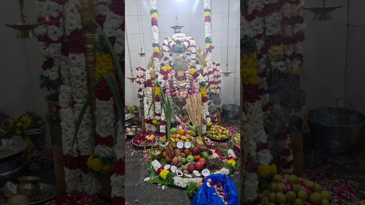ஸ்ரீ பெரும்படை அய்யனார் சுவாமி திருக்கோயில் மகா சிவராத்திரி