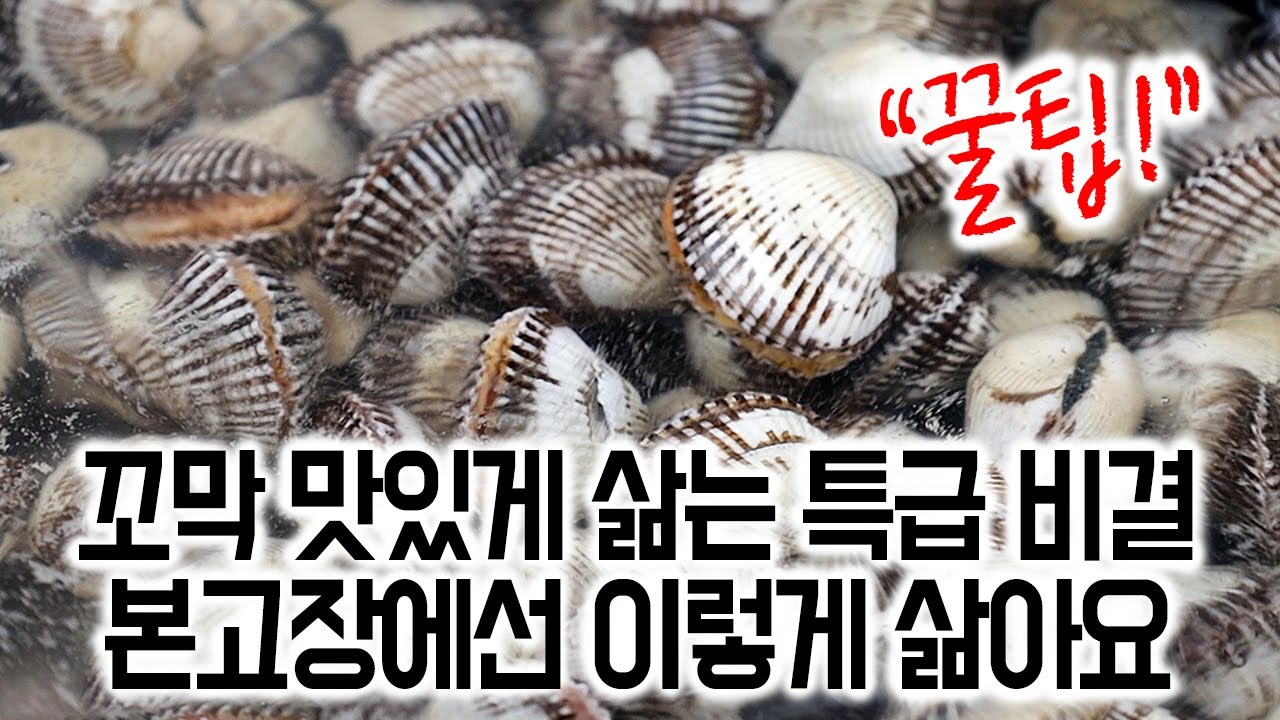 겨울 제철 꼬막 맛있게 삶는 법✅씻는 법, 해감, 쉽게 까는 법, 삶는 시간, 양념장👉본고장에선 이렇게 삶아요!💯👍익힘 정도 이븐한 꼬막으로 밥도둑 양념꼬막을 만들어보세요!