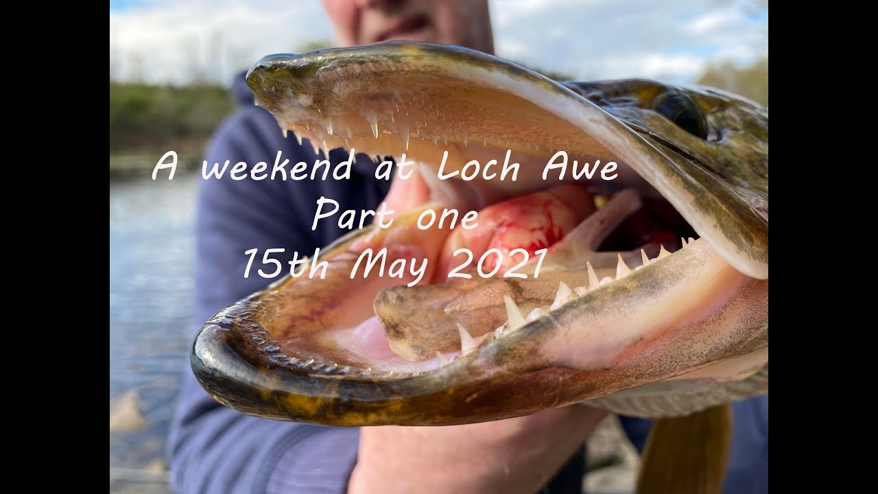A weekend at Loch Awe wild camping and pike fishing
