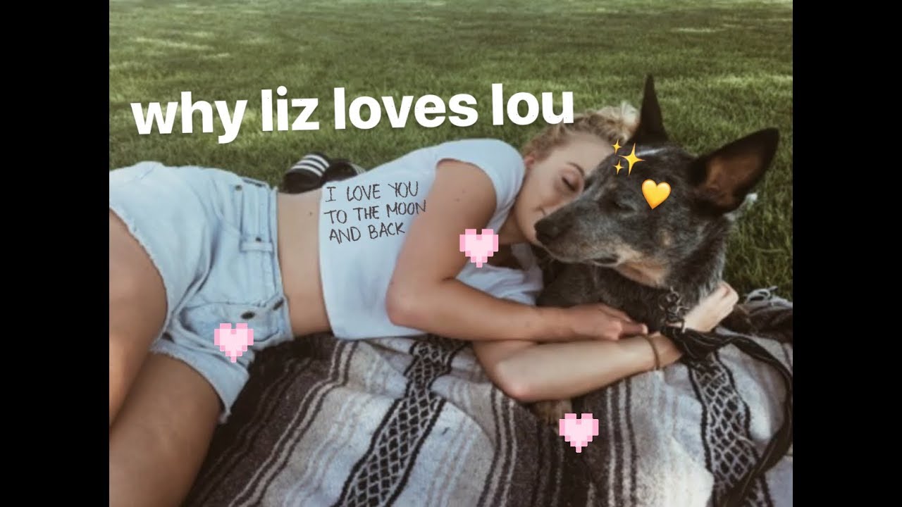 Everything I LOVE about My Australian Cattle Dog 💛✨