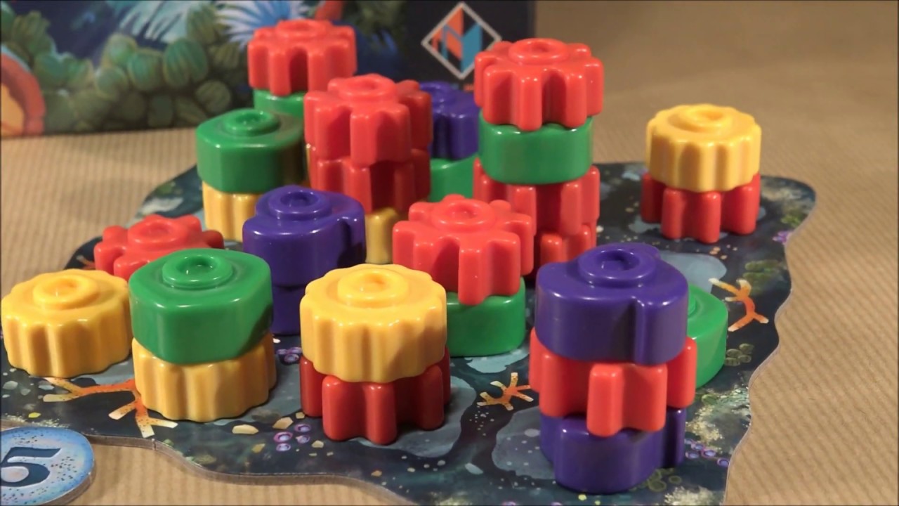 Reef les règles du jeu