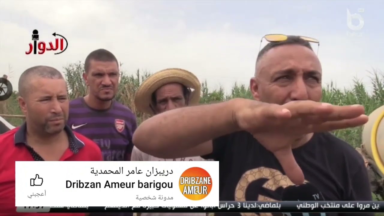 سنتاجيني سليم آلك باريقو
