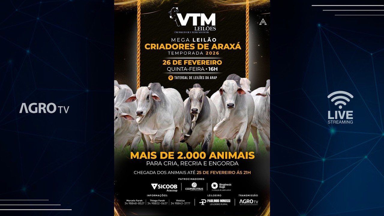 MEGA LEILÃO CRIADORES DE ARAXÁ - VTM E CONVIDADOS - 26/02/2026